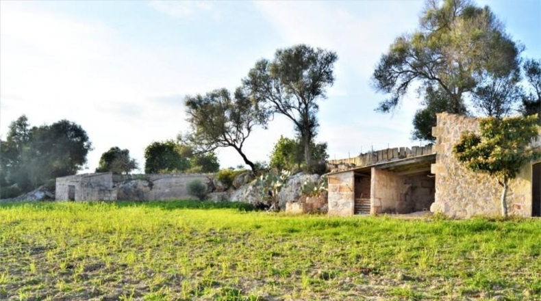 Islas Baleares - Muro - 22547m2