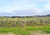 Chalet independiente con terreno en venta en la España, Muro, ref: TR152051 foto
