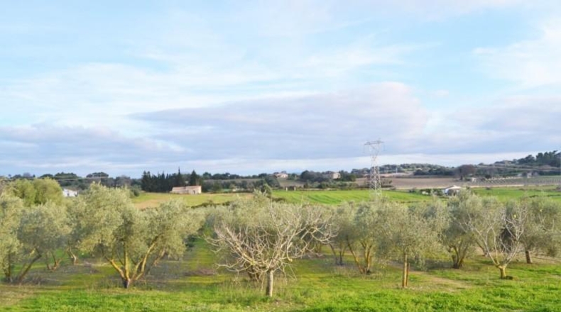 Islas Baleares - Muro - 22547m2