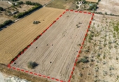 Parcel·la urbanitzable en venda a la España, Sineu, ref.: TR265641 foto