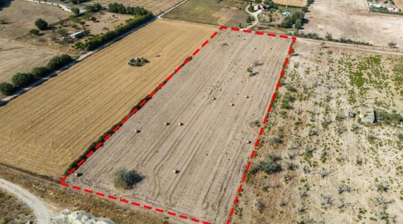 Islas Baleares - Sineu - 14411m2