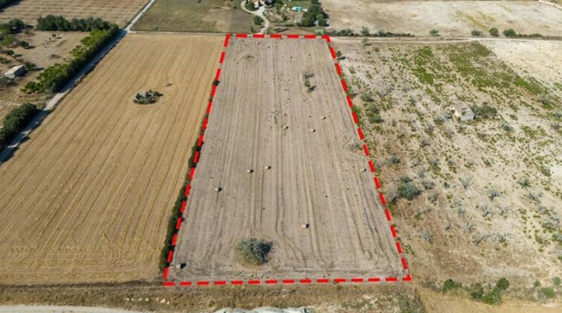Islas Baleares - Sineu - 14411m2
