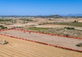 Parcel·la urbanitzable en venda a la España, Sineu, ref.: TR265641 foto