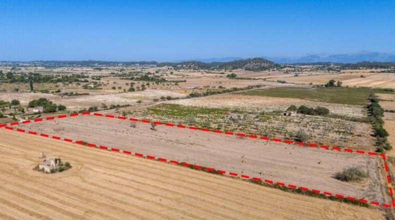 Islas Baleares - Sineu - 14411m2