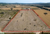 Parcel·la urbanitzable en venda a la España, Sineu, ref.: TR265641 foto