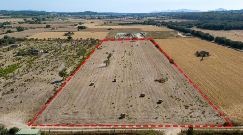 Islas Baleares - Sineu - 14411m2