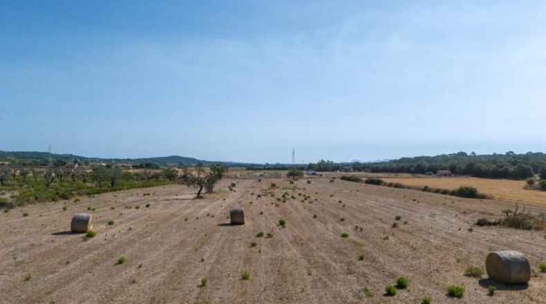 Islas Baleares - Sineu - 14411m2