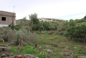 Сан-Кристобаль-де-Ла-Лагуна 1150&nbsp;м²
