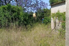 Foto 9