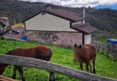 Chalet independiente con terreno en venta en la España, Mieres, ref: TR397093 foto
