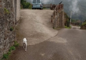 Chalet independiente con terreno en venta en la España, Mieres, ref: TR397093 foto