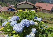 Chalet independiente con terreno en venta en la España, Mieres, ref: TR397093 foto