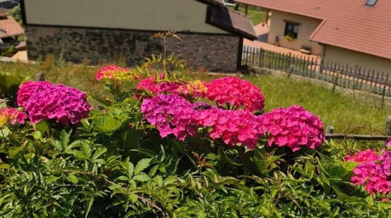 Asturias - Mieres - 78m2