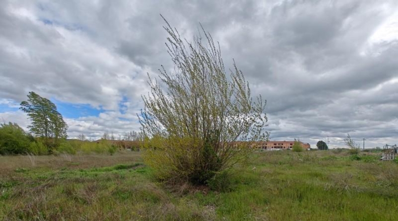 Palència - Дуэньяс - 12645m2