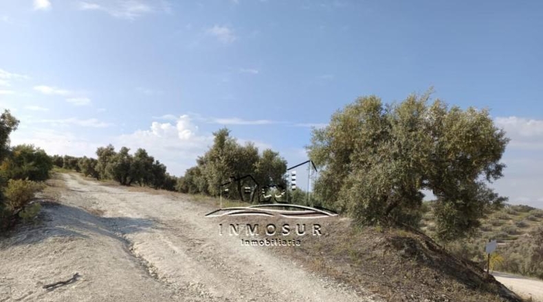 Córdoba - Lucena - 71000m2