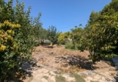 Chalet independiente con terreno en venta en la España, Lerín, ref: TR328640 foto