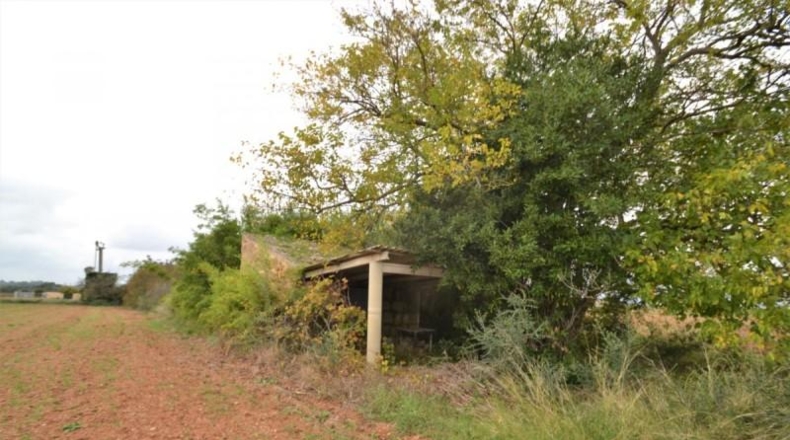 Islas Baleares - Muro - 15374m2