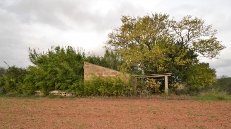 Islas Baleares - Muro - 15374m2