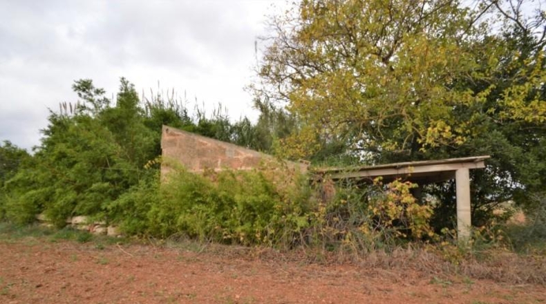 Islas Baleares - Muro - 15374m2