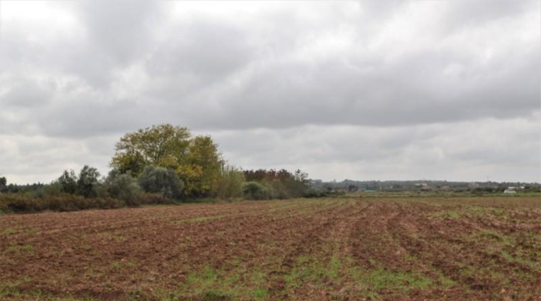 Islas Baleares - Muro - 15374m2