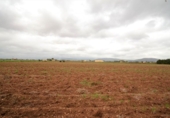 Casa de campo con terreno en venta en la España, Muro, ref: TR142257 foto