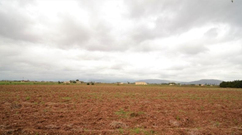 Islas Baleares - Muro - 15374m2