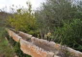 Casa de campo con terreno en venta en la España, Muro, ref: TR142257 foto