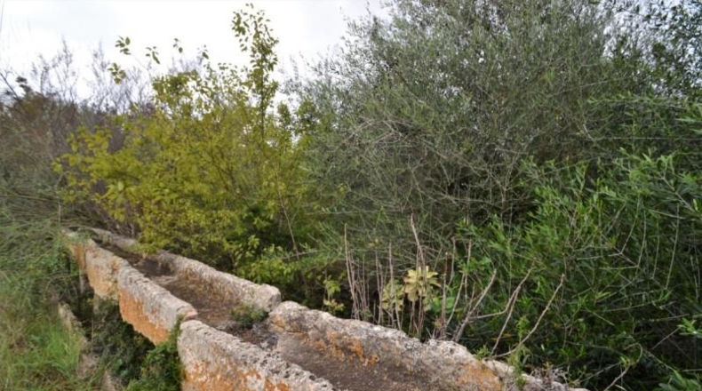 Islas Baleares - Muro - 15374m2