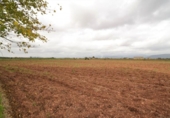 Casa de campo con terreno en venta en la España, Muro, ref: TR142257 foto