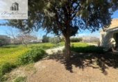 Parcela urbanizable en venta en la España, Ogíjares, ref: TR364780 foto