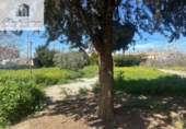 Parcela urbanizable en venta en la España, Ogíjares, ref: TR364780 foto