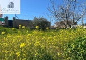 Parcela urbanizable en venta en la España, Ogíjares, ref: TR364780 foto