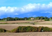 Terreno no urbanizable en venta en la España, Muro, ref: TR361084 foto
