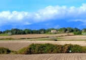 Terreno no urbanizable en venta en la España, Muro, ref: TR361084 foto