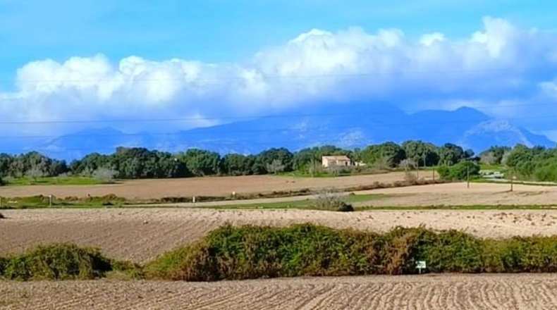 Illes Balears - Muro - 15800m2