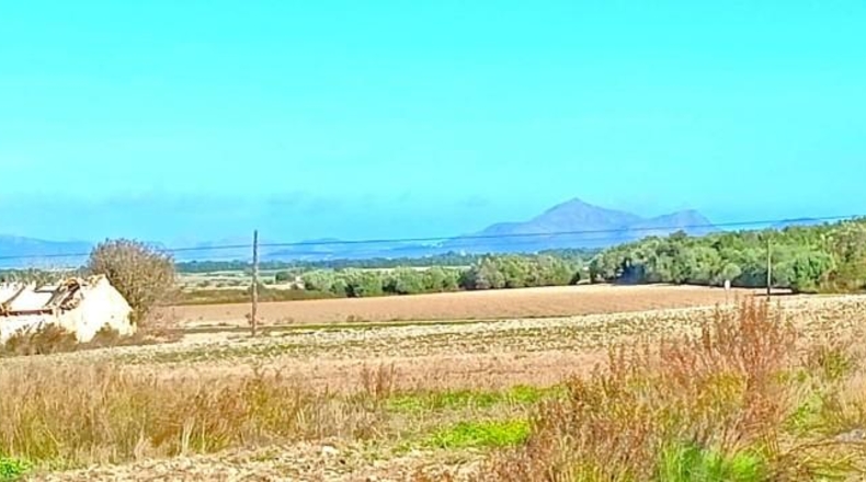Illes Balears - Muro - 15800m2