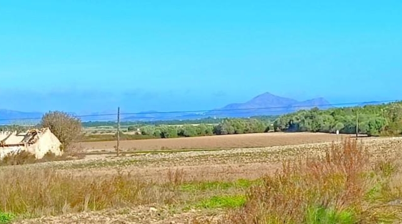 Illes Balears - Muro - 15800m2