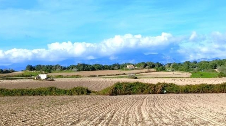 Illes Balears - Muro - 15800m2