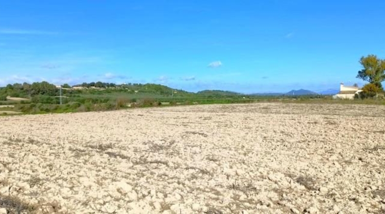 Illes Balears - Muro - 15800m2