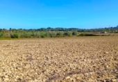Terreno no urbanizable en venta en la España, Muro, ref: TR361084 foto
