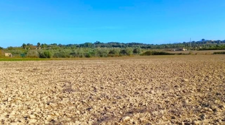 Illes Balears - Muro - 15800m2