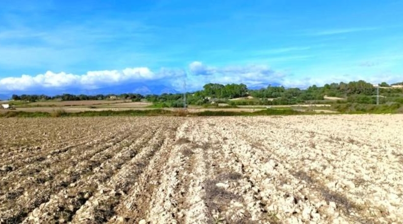 Illes Balears - Muro - 15800m2