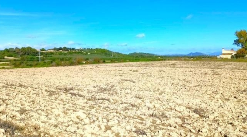 Illes Balears - Muro - 15800m2