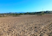 Terreno no urbanizable en venta en la España, Muro, ref: TR361084 foto