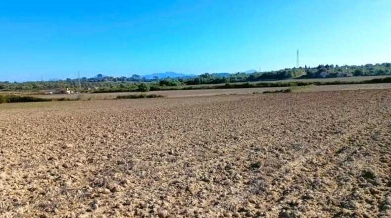 Illes Balears - Muro - 15800m2