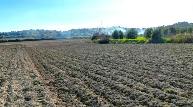 Illes Balears - Muro - 15800m2