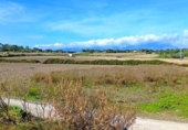 Terreno no urbanizable en venta en la España, Muro, ref: TR361084 foto