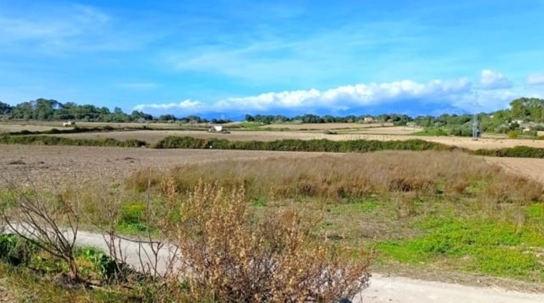 Illes Balears - Muro - 15800m2