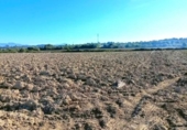 Terreno no urbanizable en venta en la España, Muro, ref: TR361084 foto
