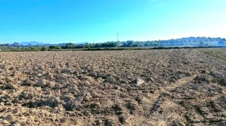 Illes Balears - Muro - 15800m2